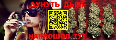 apvp Будённовск