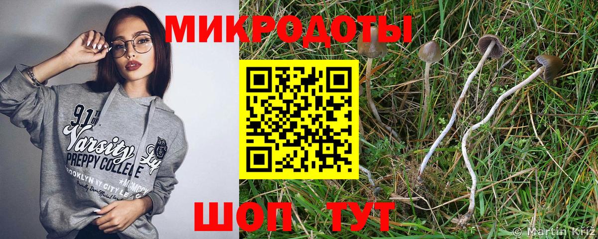 Галлюциногенные грибы прущие грибы  Галлюциногенные грибы GOLDEN TEACHER  Саранск  Вход с VPN 